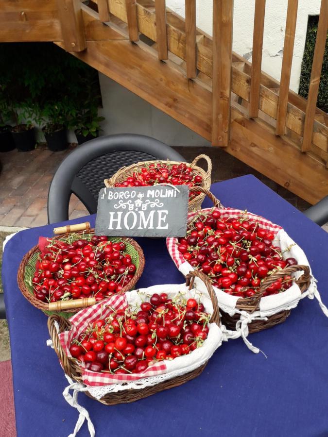 Torreglia Il Borgo Dei Molini B&B 외부 사진