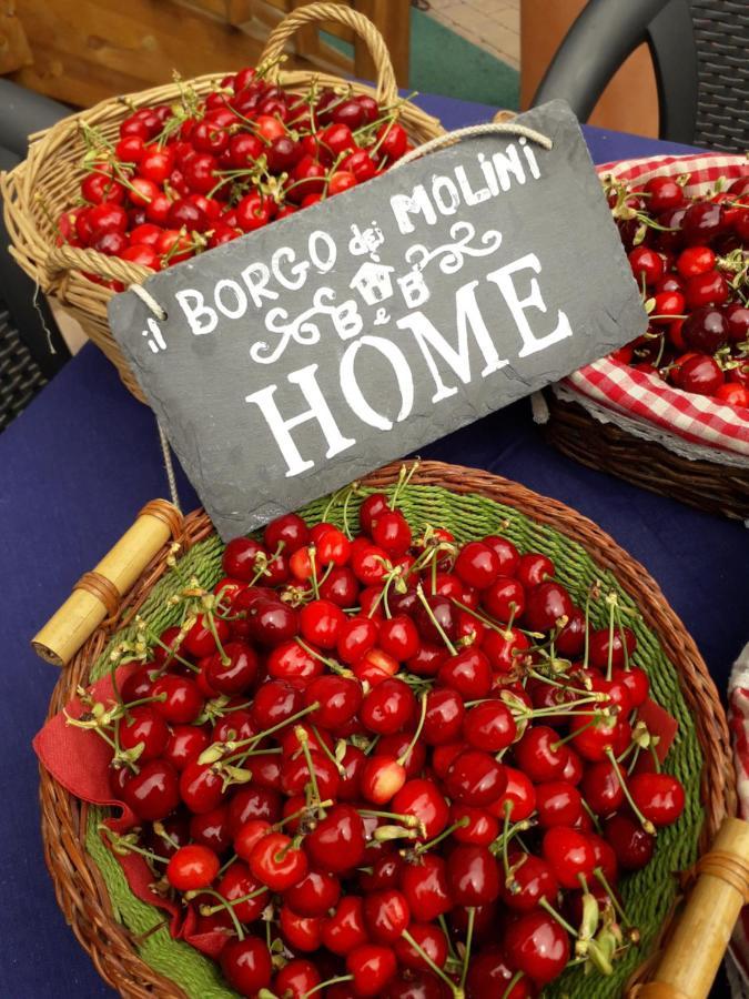 Torreglia Il Borgo Dei Molini B&B 외부 사진