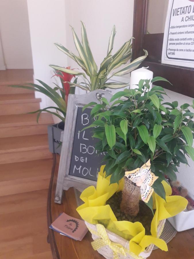 Torreglia Il Borgo Dei Molini B&B 외부 사진