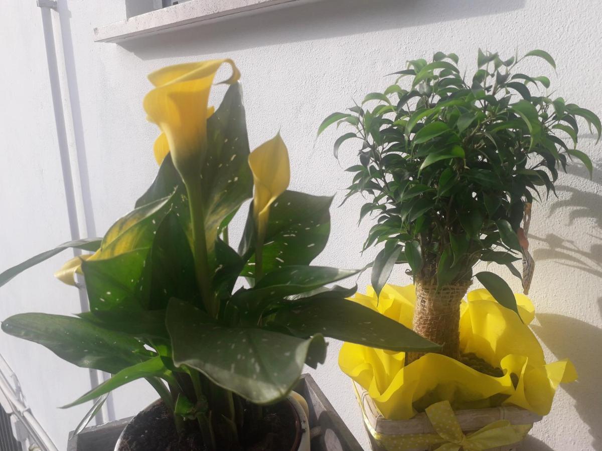 Torreglia Il Borgo Dei Molini B&B 외부 사진